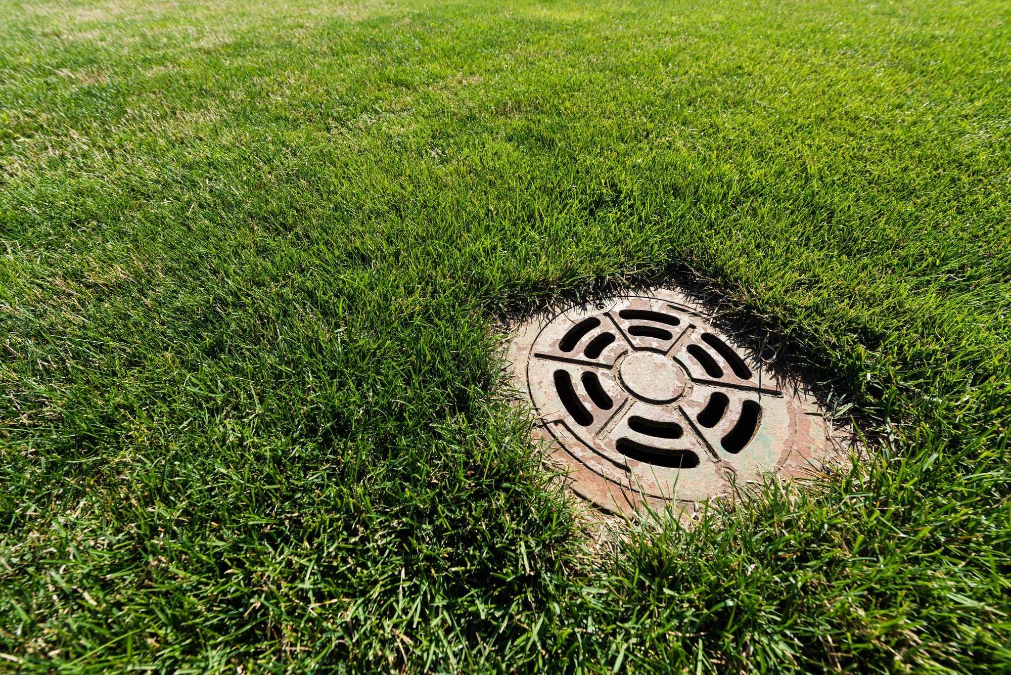 What causes sewer backup
